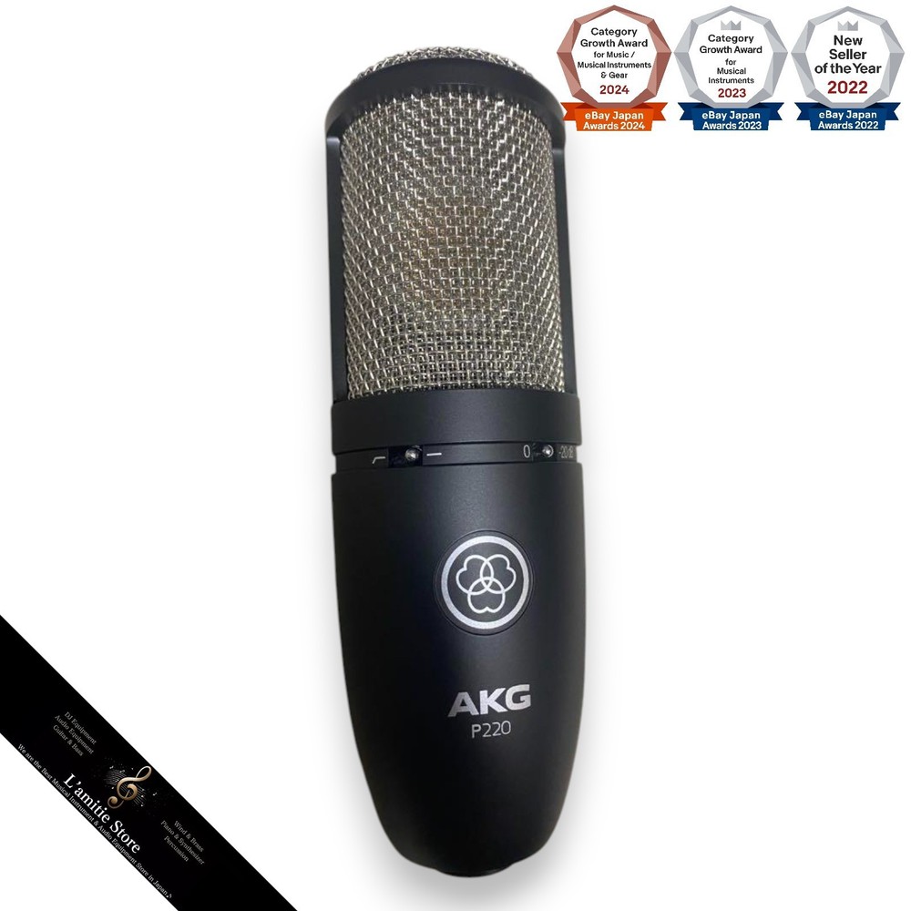 AKG P220 High-Performance Large Diaphragm True Condenser Microphone P 220 Used