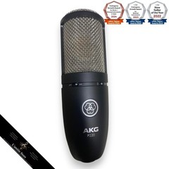 AKG P220 High-Performance Large Diaphragm True Condenser Microphone P 220 Used