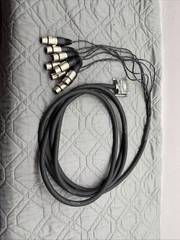 Redco TGS-8 12’ DB25 to 8 XLR Female Audio Snake Cable Neutrik Connectors