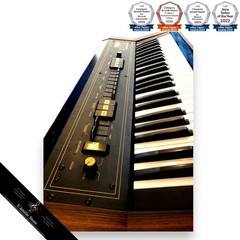 Yamaha SK10 Analog Synth 1979 Vintage Synth Rare Hard Case Included