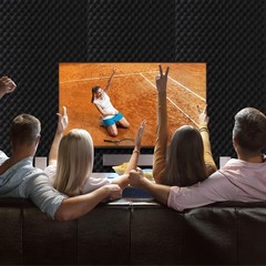 4 Pack Acoustic Panels,48“X24“X2“ Egg Crate Foam Soundproof Wall Panels,Hi…