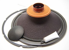 Recone Kit for EV – Electro Voice DL-15W / 15″ Speaker Repair Kit