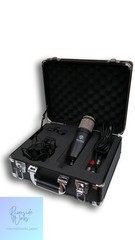 TOWNSEND LABS SPHERE L22 Condenser Microphone Used