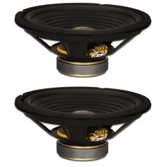 2 Goldwood Sound GW-210/4 OEM 10″ Woofers 220Watt each 4ohm Replacement Speakers