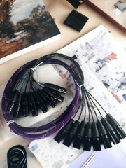 Canare Custom | 8 Channel Balanced Studio Snake Cable, HIFI XLR M/F
