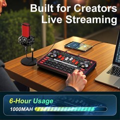 Podcast Microphone Bundle with Live Sound Board Audio Mixer, Podcast Equipmen…