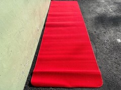 9FT 3×9 Red Carpet #2343 (One)THS