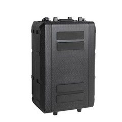 Diandian 2U Rack Case Shallow 11″ Depth, 19″ Rackmount Flight Case, Watertigh…