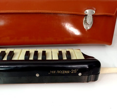 Vintage Soviet wind instrument synthesizer melody-26 USSR Brass harmonica