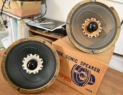 Technics Matsushita EAS-20PW09 20cm Full Range Speaker Unit Pair
