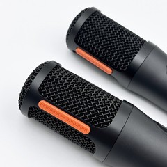 JBL Wireless IN BOX Two Microphone System with Dual-Channel Receiver