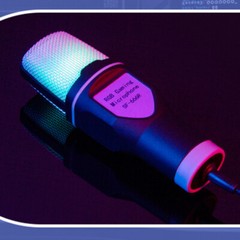 Microphone Mic Kit Broadcasting Singing Studio Recording Condenser USB PC Laptop