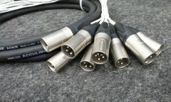 PRO CO DA88XM-10 Sound Multitrack Recording Cable D-Sub DB25 To 8x XLR Male 10′