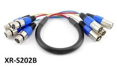 2ft Pro XLR 4-Channel M to F Balanced Audio Snake Cable, CablesOnline XR-S202B
