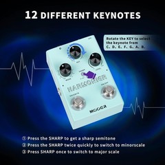 Harmonier Vocal Effects Processor