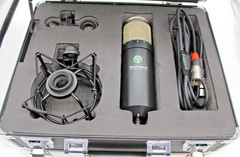 Townsend Labs Sphere L22 Condenser Microphone – MINT