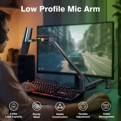 AA AUDIO ACCESSORY Low Profile Boom Arm (Design for Heavy Mic) 6.6lbs Black