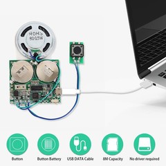 Icstation Recordable Sound Module, 8M USB Button Control with Battery