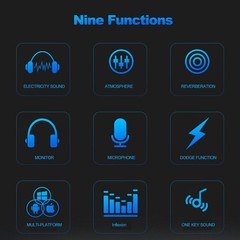 Home Studio Recording Kit Audio Mixer Condenser Microphone Music Podcast Stream
