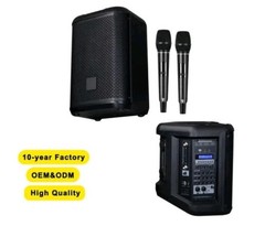 Portable Wireless PA System with Bluetooth and Microphones, Black