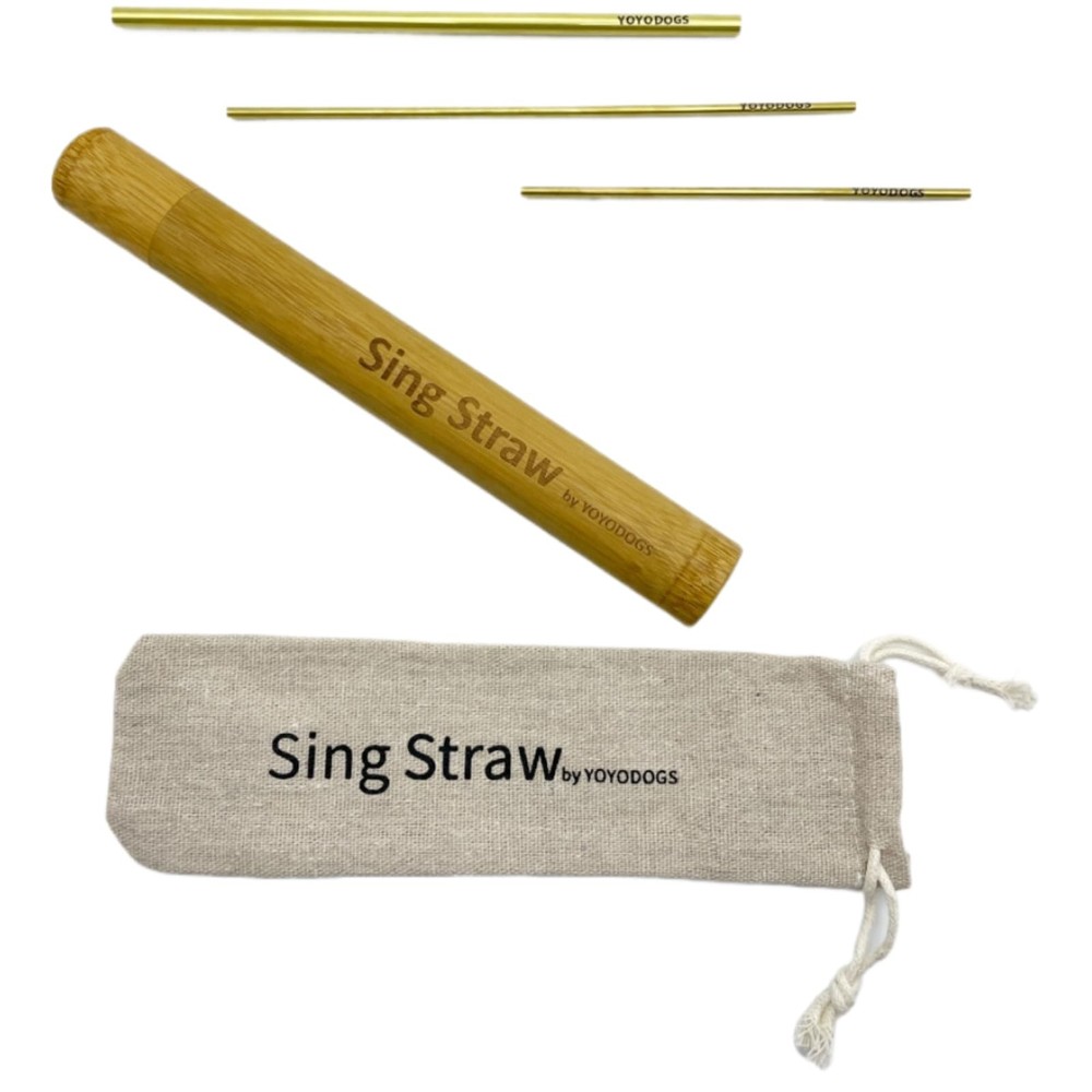 Singing Straws for Vocal Training and Healing Aid Tool,Voice Straw Vocal Trai…