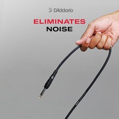 D’addario Accessories Speaker Cable Shielded For Noise Reduction 1/4 Inch Male T