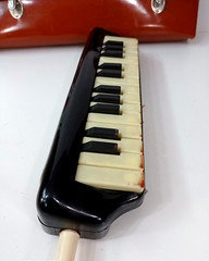Vintage Soviet wind instrument synthesizer melody-26 USSR Brass harmonica