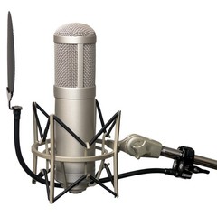 Stedman PS101 Proscreen V2 Pop Filter with Gooseneck