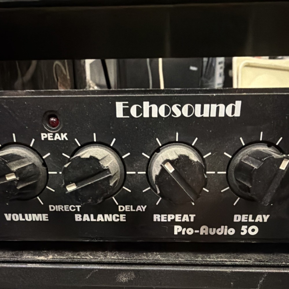 Echosound Pro-Audio 50 Rack Mount Delay Unit, Peak Indicator, Foot Switch