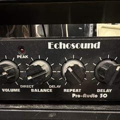 Echosound Pro-Audio 50 Rack Mount Delay Unit, Peak Indicator, Foot Switch