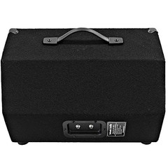 Seismic Audio – SA-10M.3 – Pro 10 Inch 2-Way Floor Single, black