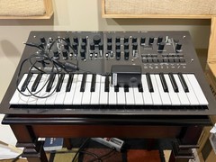 Korg Minilogue PG Limited Edition 4-Voice Polyphonic Analog Synthesizer
