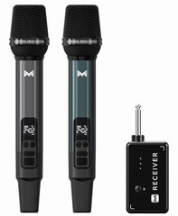 ECHOVUSSY Kircicas Microphones System. (2/22)