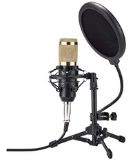 ZINGYOU Desktop Microphone Set Condenser Microphone Professional Studio