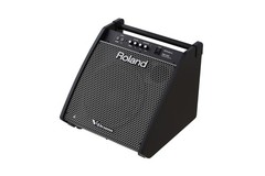 Roland – PM-200 – Personal Drum Monitor-180 watts, 12″ woofer, horn tweeter, XLR