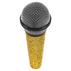 Children’s Performance Microphone Simulate Pretend Toy Kids Prop Costume