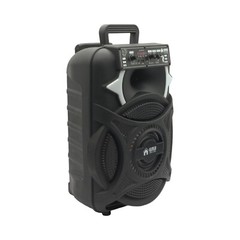 EMB PKL12BT 1000w 12″ Trolley Speaker with AUX, Lights, FM, USB with Bluetooth