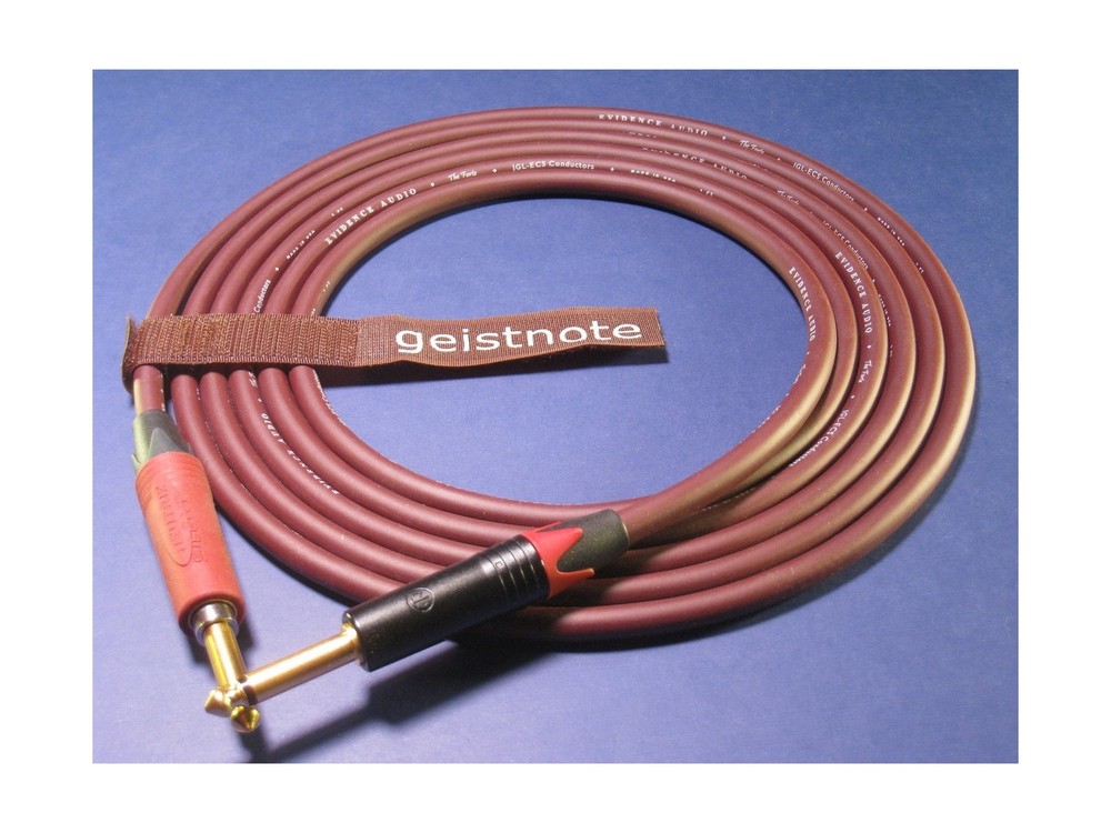 Evidence Audio Geistnote’s Forte Instrument Cable with Neutrik Silent Plug an…