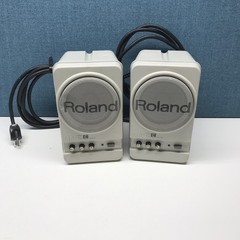 Roland MA-12C Micro Monitor Speakers Pair Powered Japan Powers On