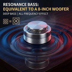 Resonance Speaker 2in All Frequency 8Ω 25W Sturdy Steel Portable Vibration JRPH