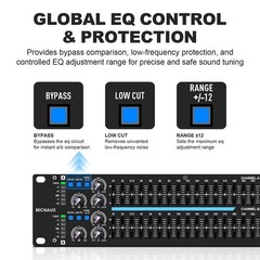 Dual Channel 31-Band Graphic Stereo EQ for Home Audio and DJ Sound
