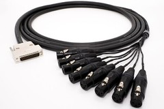 Canare MR202-8AT 8 Multicore Analog Snake Cable | D-Sub 25 Male to XLR Female.