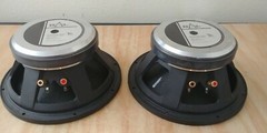 BELISLE ACOUSTIC LABORATORIES TRANSPARENCE 12 mb 800 WOOFER CANADA RARE