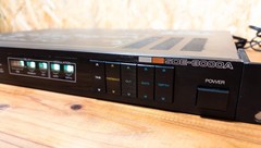 Roland SDE-3000A Digital Delay Rack Effect Processor Tested AC100V From Japan