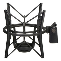 AKG P420 Multi-Pattern Large Diaphragm Condenser Studio Microphone Recording Mic