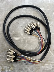 8 Pair IEM paired snake Male to Female XLR’s 9ft