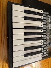 PAIA Oz (Rare) Serviced Refurbished with Brand New Speaker