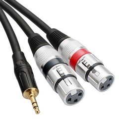 Tisino Dual XLR to 3.5mm Stereo Mic Cable, 2 Female 1/8 Inch 6.6 feet