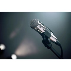 Warm Audio Retro 64 Dynamic Vocal and Instrument Microphone