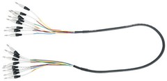 Rockville SQ806 8 Channel 6 Foot 1/4″ TRS Snake Cable (Male to Male)